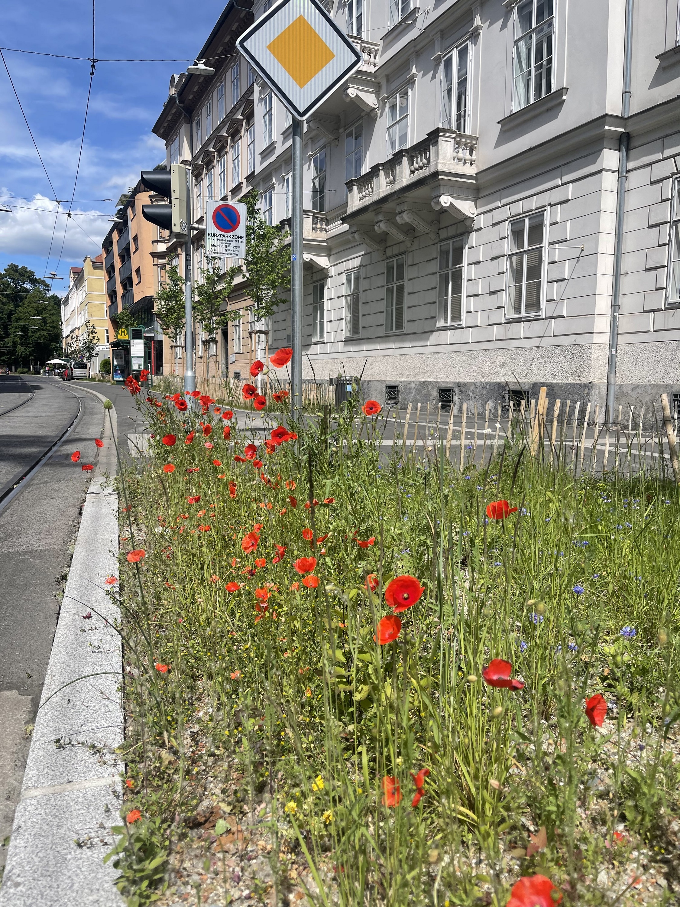 Graz blüht auf © M. Eichberger Graz blüht auf
