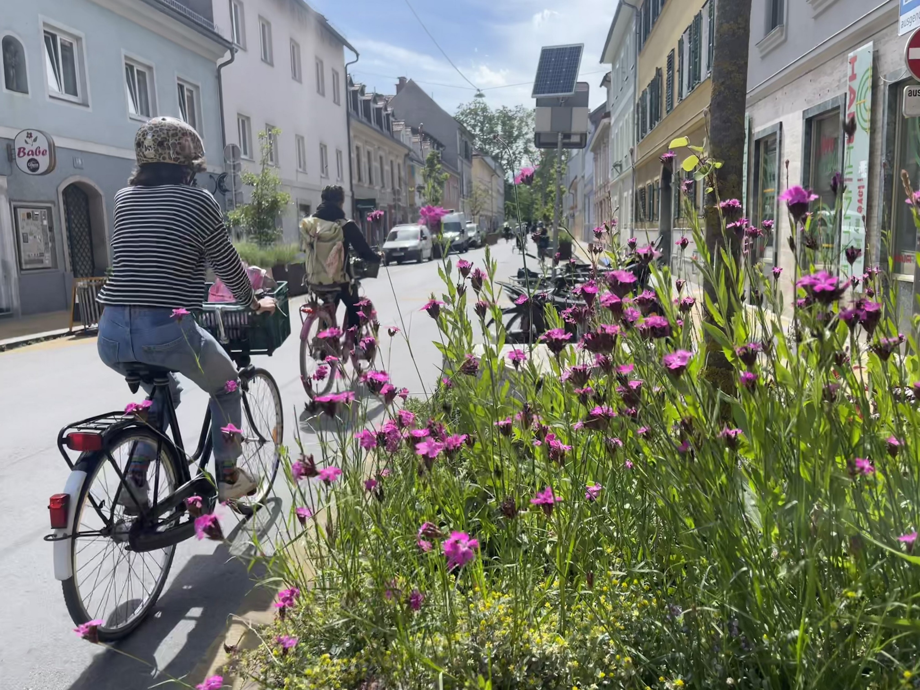 Graz blüht auf © M. Eichberger Graz blüht auf