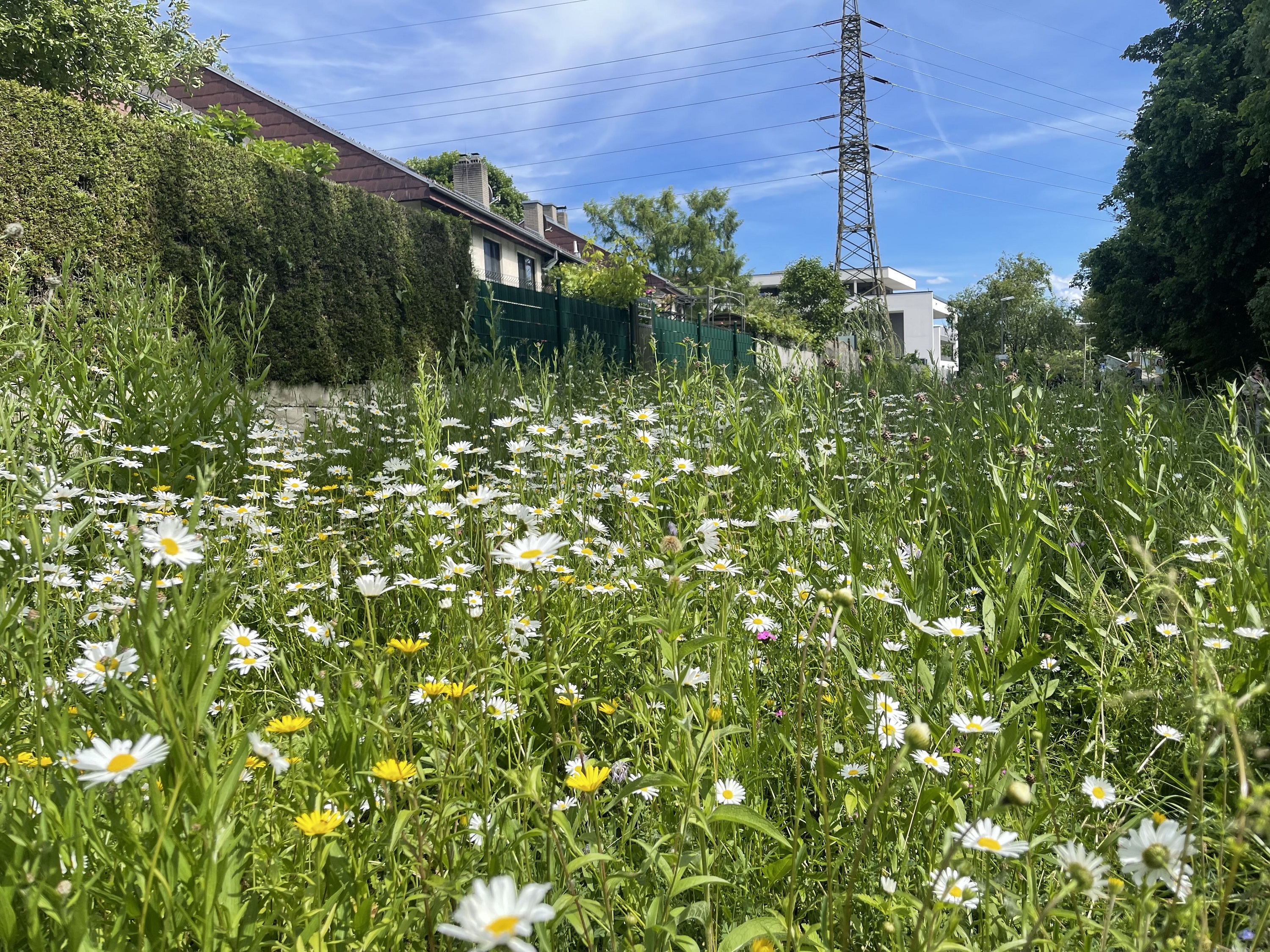 Graz blüht auf © M. Eichberger Graz blüht auf