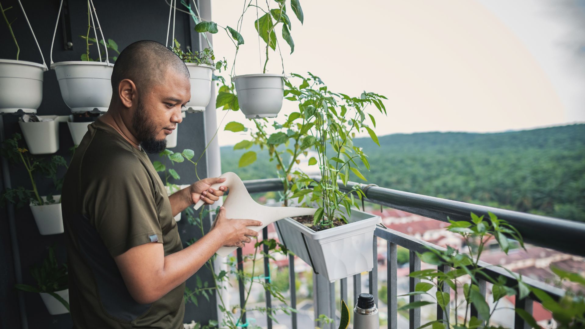 Die Bepflanzung von Balkon und Fassade bringt Freude: Aber was darf man und was nicht? © ibnjaafar von Getty Images via Canva.com Die Bepflanzung von Balkon und Fassade bringt Freude: Aber was darf man und was nicht?