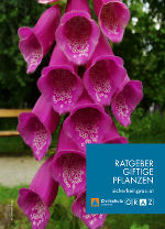 Neuer Pflanzenfolder - einfach anklicken und downloaden!