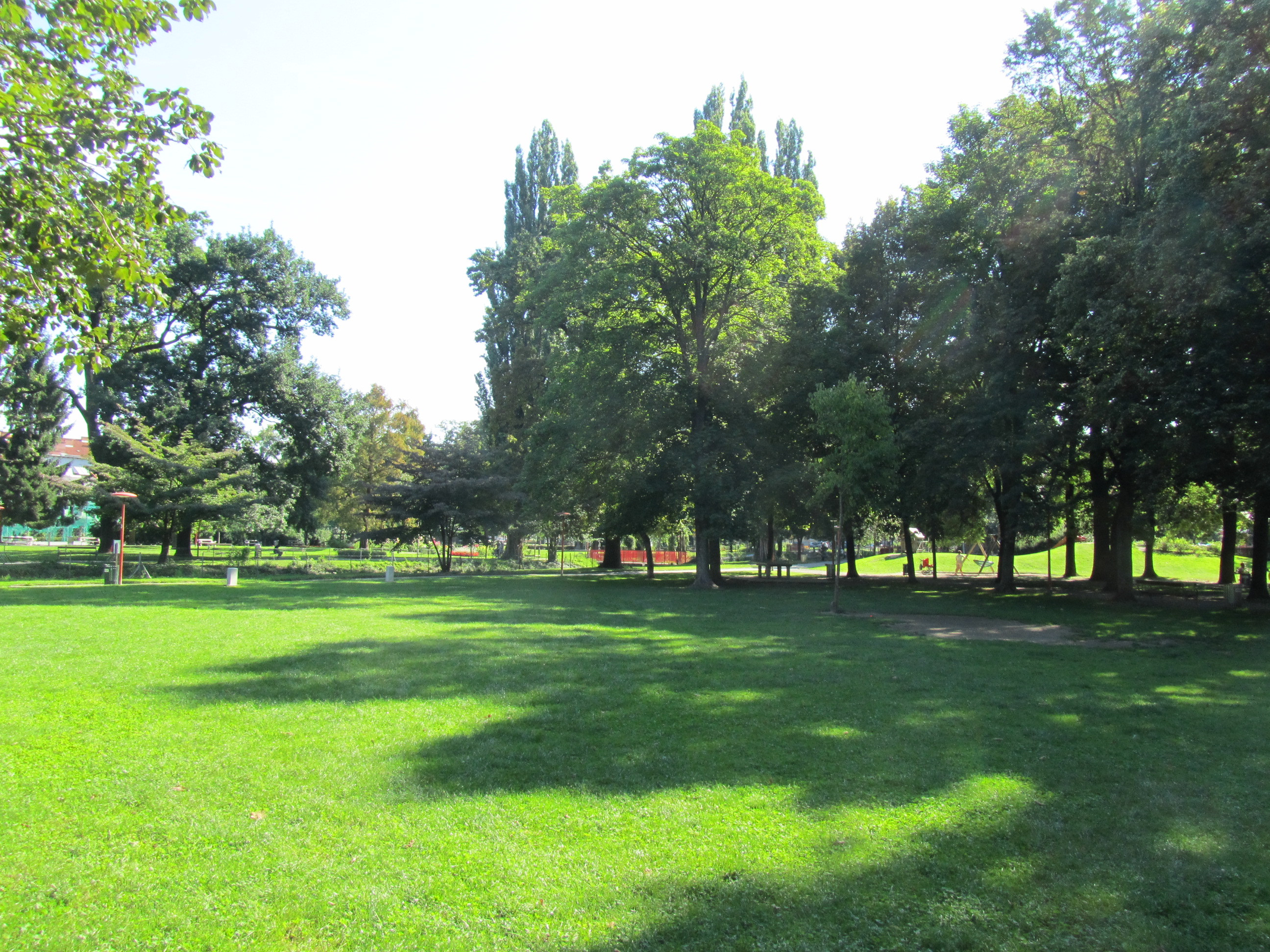 Wiese
