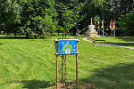 Lebensbaum im Volksgarten