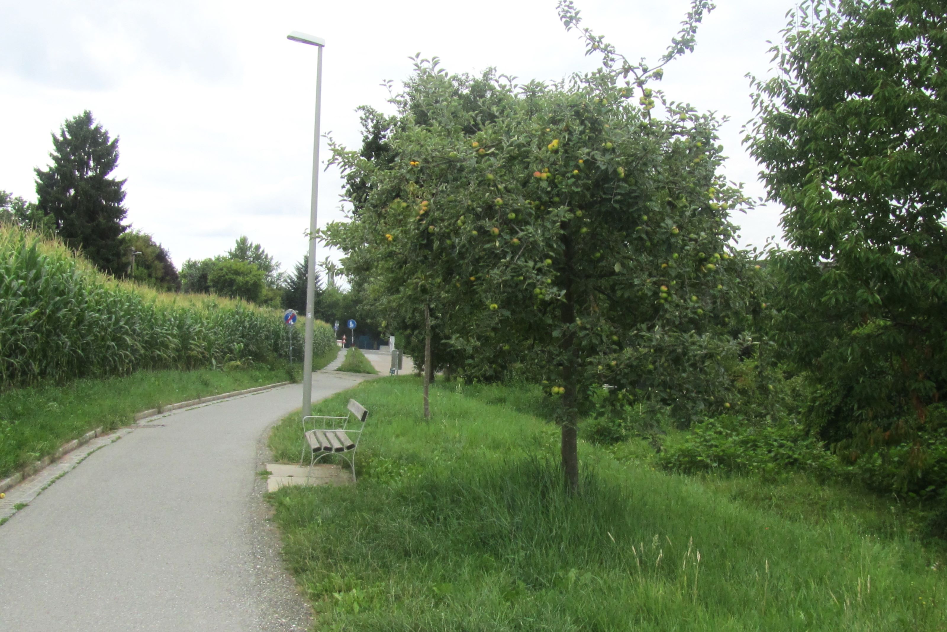 Naschobstwiese