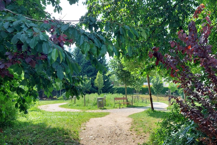 Anna-Cadia-Park