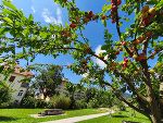Dagmar-Grage-Park