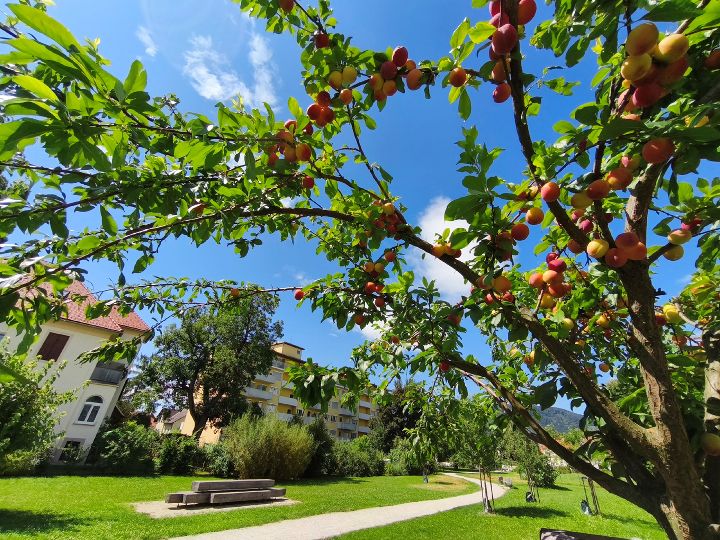 Dagmar-Grage-Park