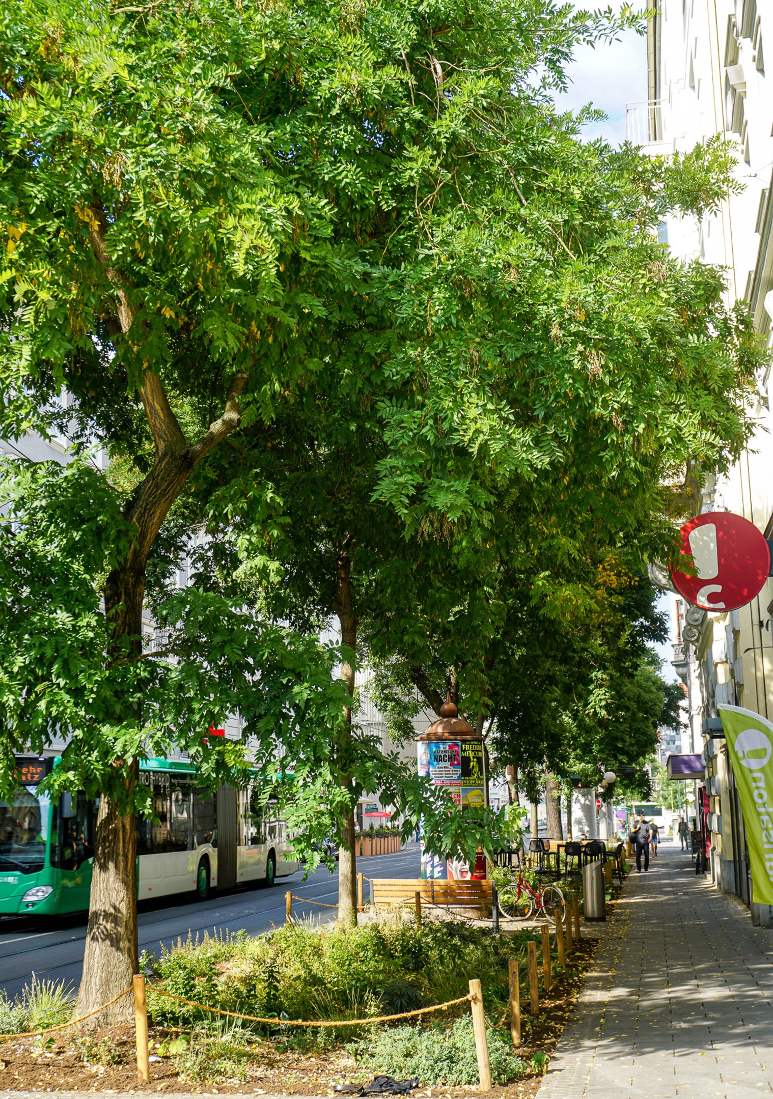 Erweiterung der Begrünung und Entsiegelung des Straßenraums in der Radetzkystraße