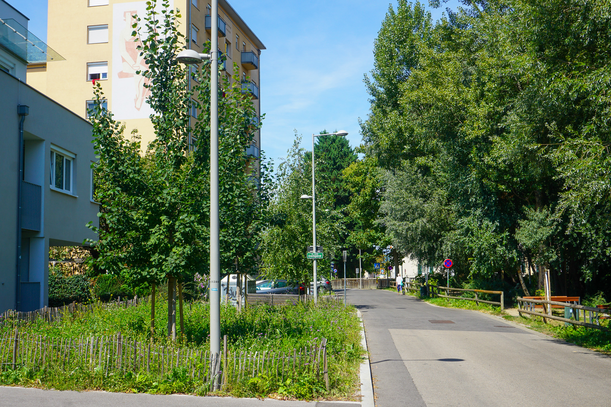 Entsiegelte Fläche Zeillergasse 85 mit 3 Neupflanzungen von Zitter-Pappeln