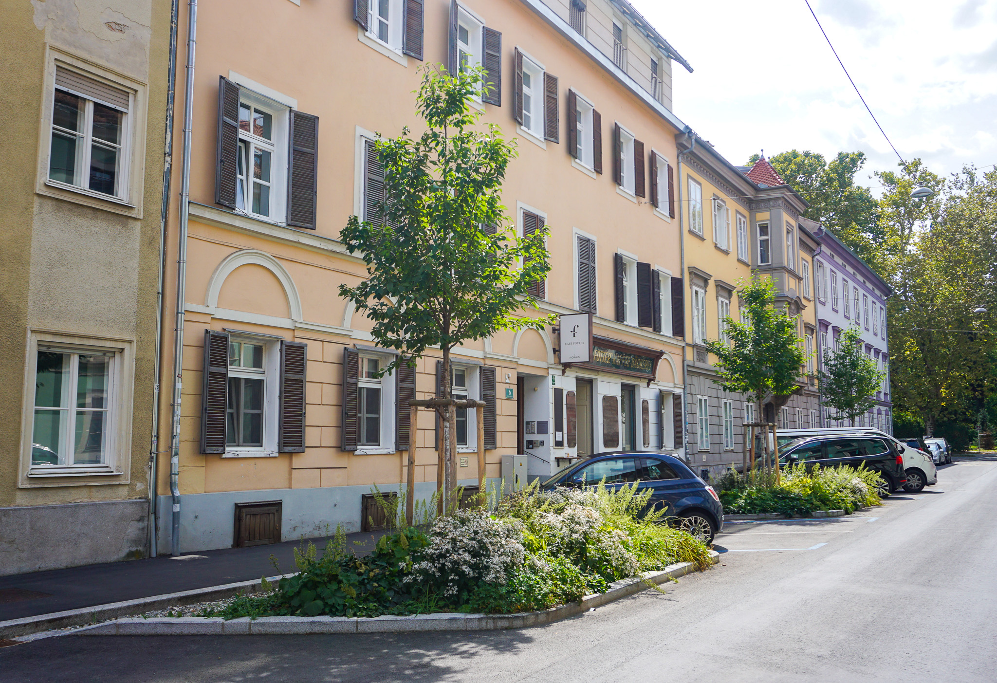 Blick auf die 3 neuen Baumscheiben Richtung Stadtpark, Neupflanzung von 3 Vogelkirschen