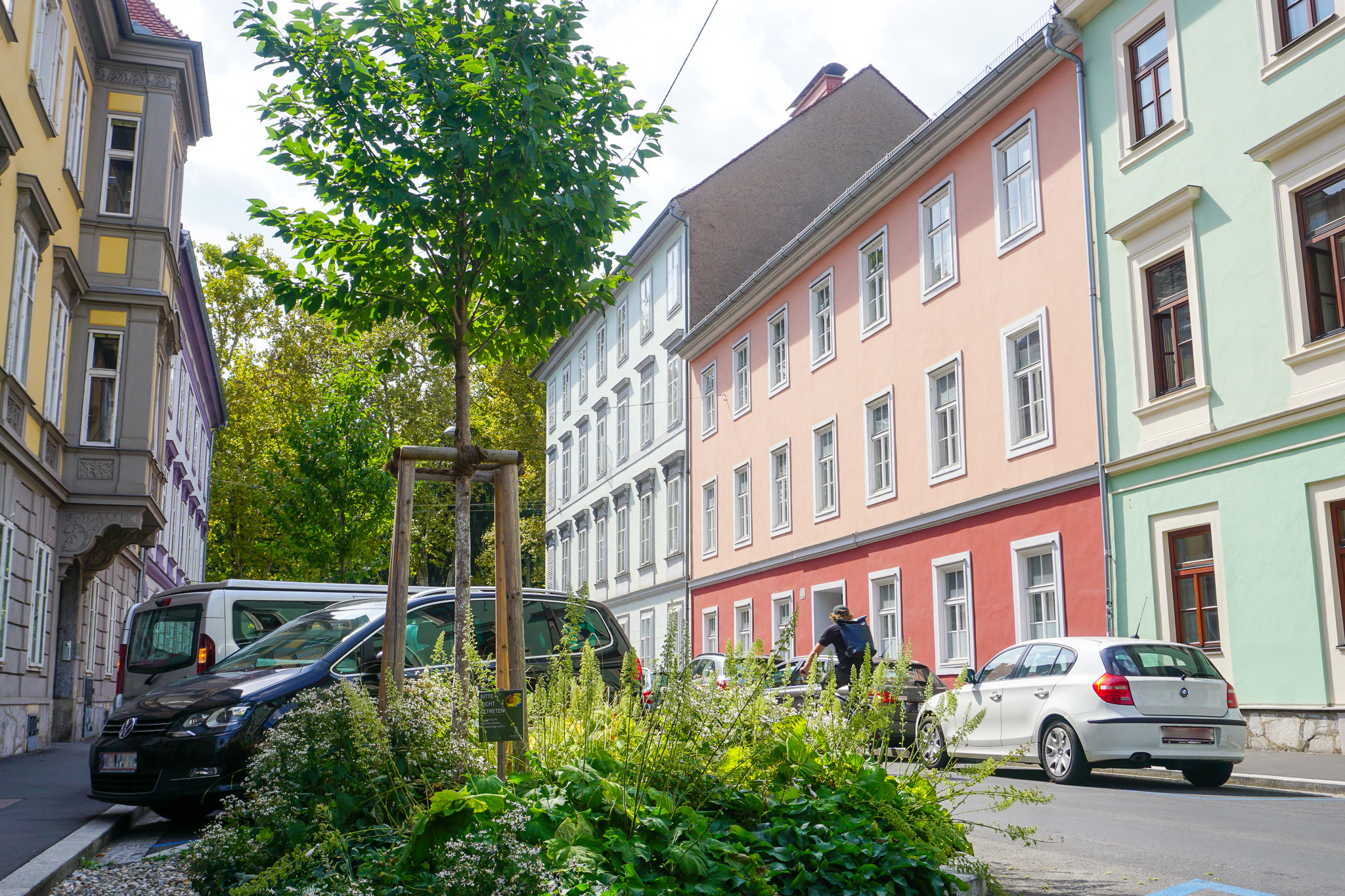 Die neuen Grünflächen verdecken die Fahrzeuge teilweise und erzeugen so ein schönes Straßenbild