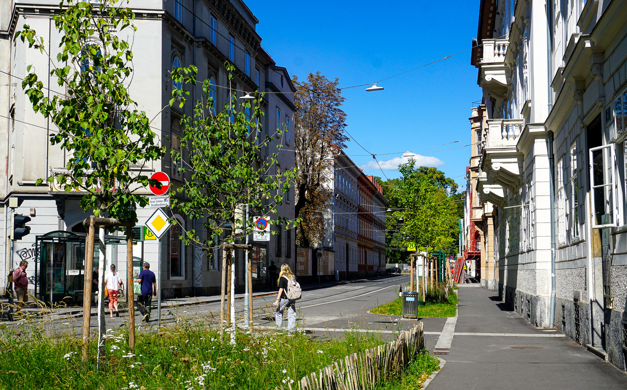 Neue Staudenbeete mit Bäumen vor der Haltestelle