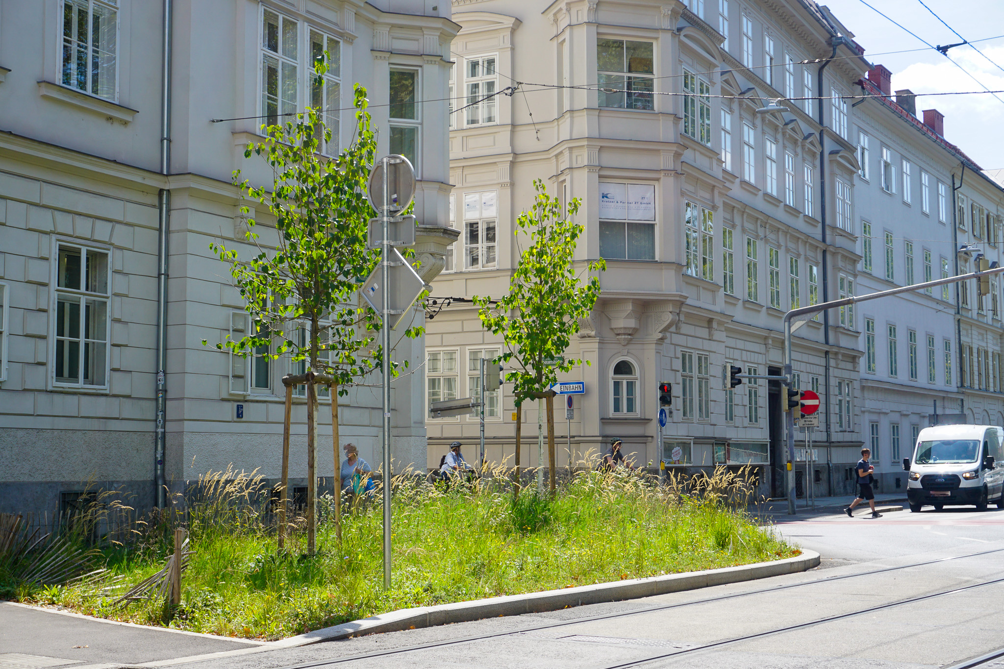 Bereich der alten Zufahrt in die Maiffredygasse - entsiegelt und begrünt, Neupflanzung von 2 Baumhaseln
