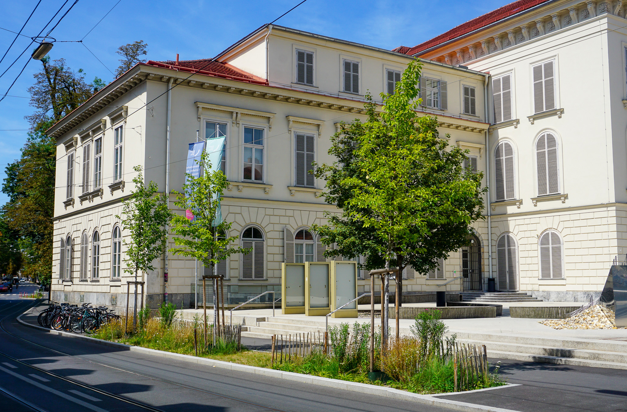 Entsiegelung und Neupflanzungen vor der Kunstuniversität Graz, Neupflanzung von 3 Ulmen