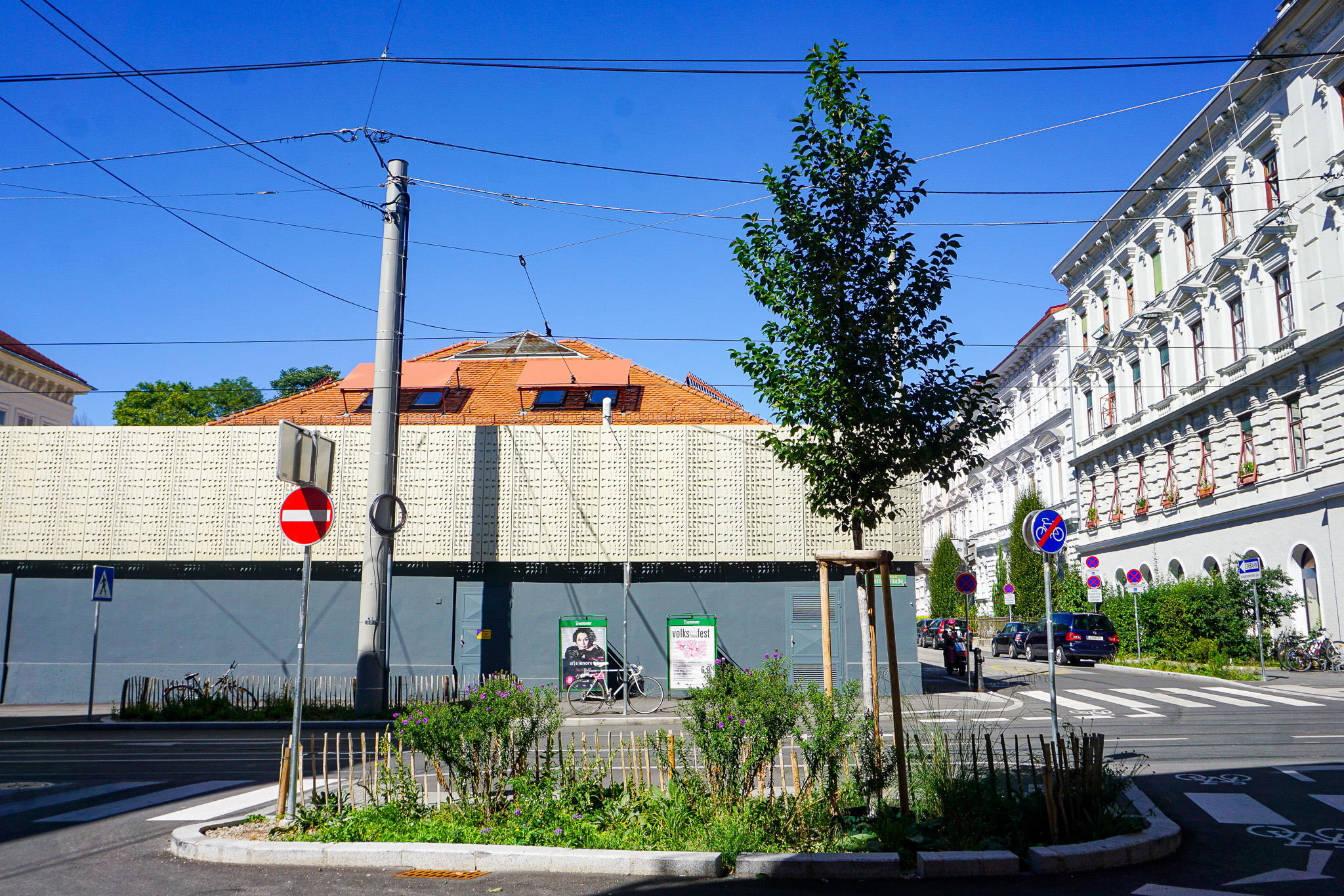 Entsiegelung und Neupflanzungen im Kreuzungsbereich Leonhardstraße/Lessingstraße/Schillerstraße, Neupflanzung einer Ulme