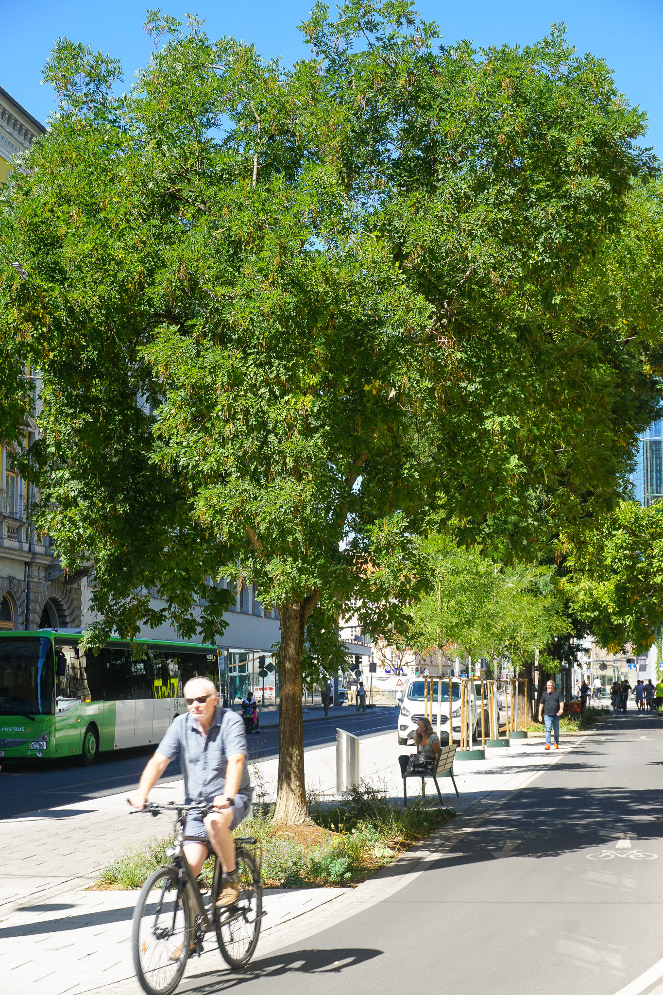 Zweispuriger Fahrradstreifen im oberen Abschnitt der Neutorgasse