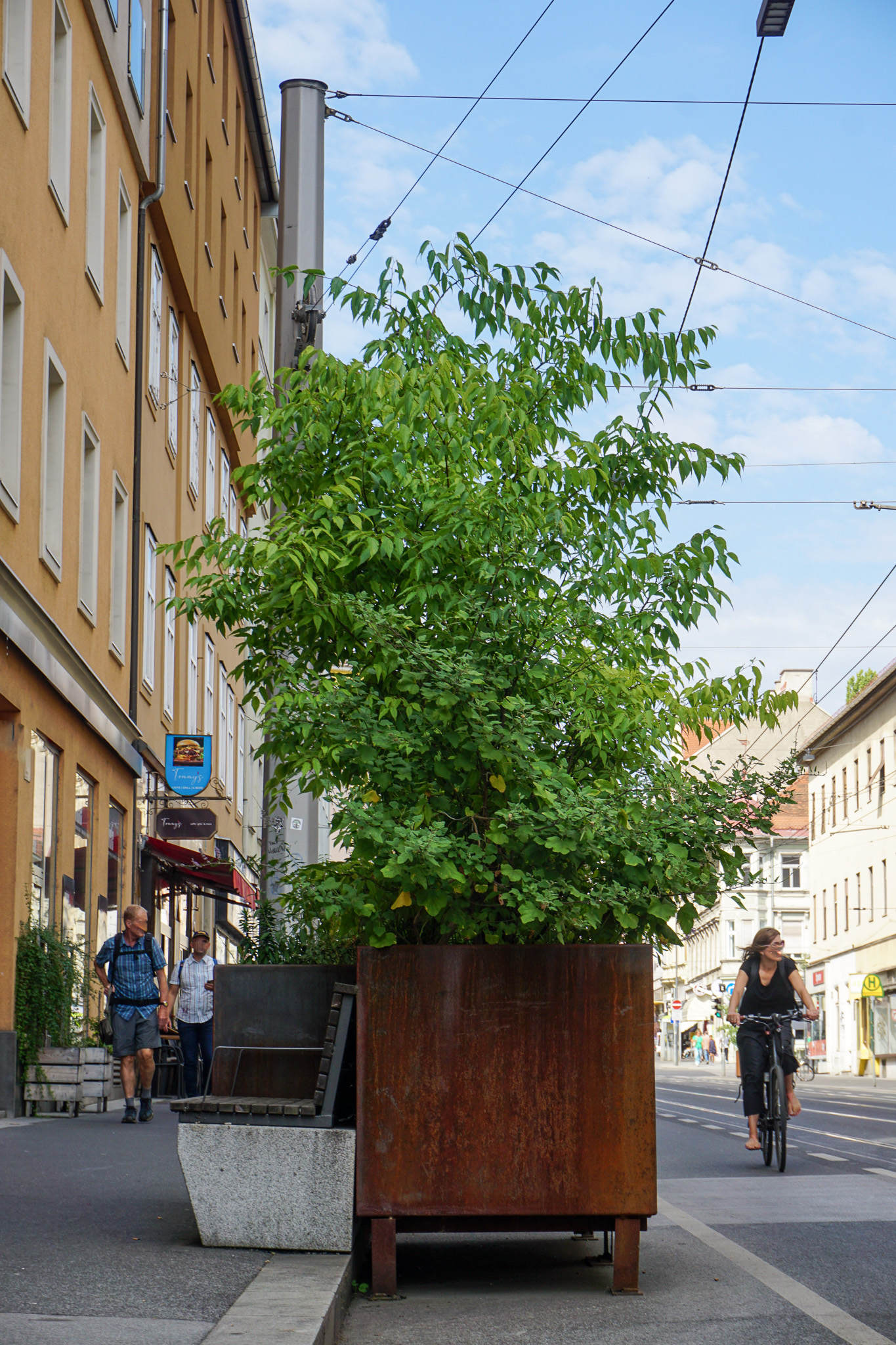 Aufstellweise der Pflanztröge und Sitzmöglichkeiten