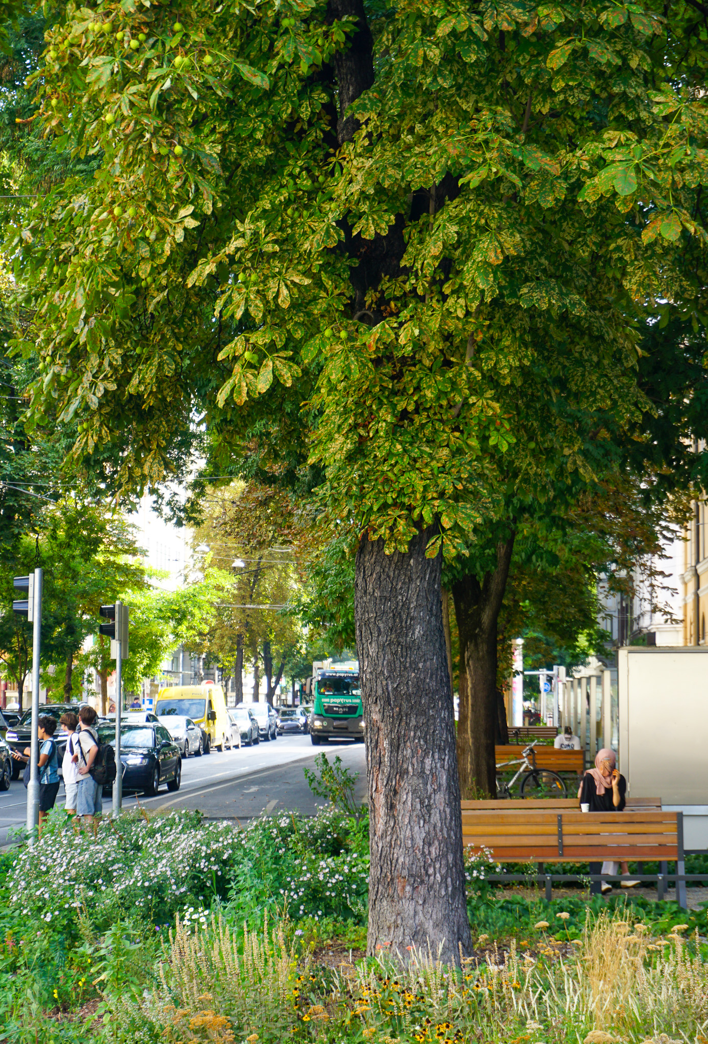 Sitzbänke in dafür vorgesehenen Aussparungen zwischen den neuen Grünflächen
