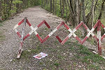 Absperrung Waldstück