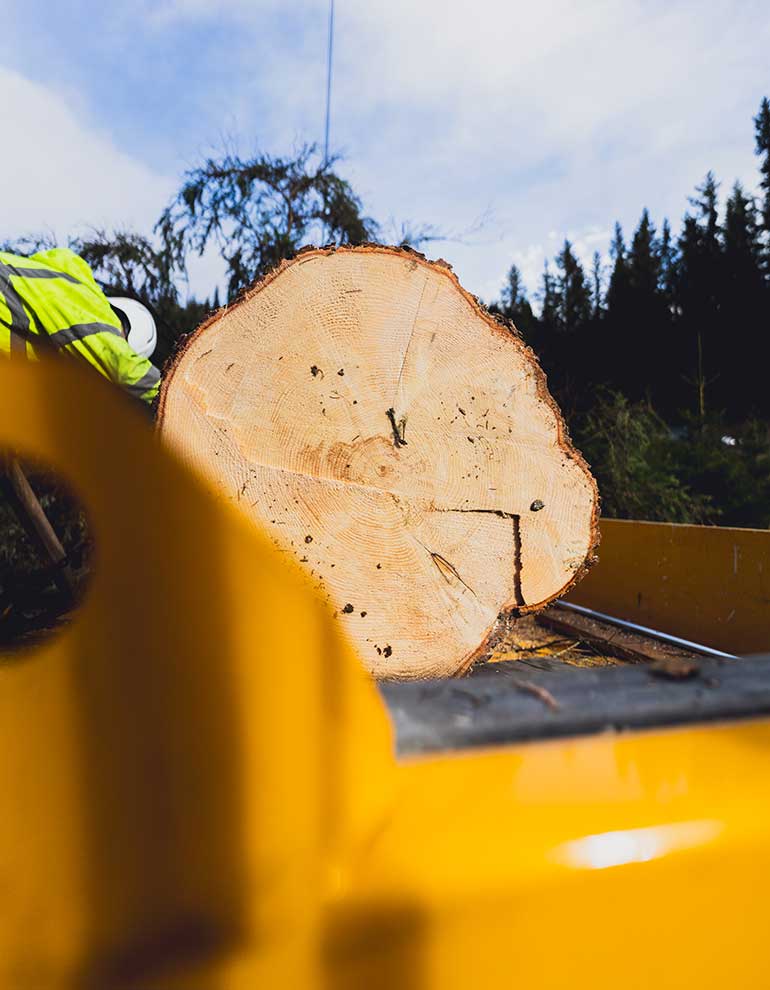 Klicken Sie sich durch die Bilder! © Arvid Auner Klicken Sie sich durch die Bilder!