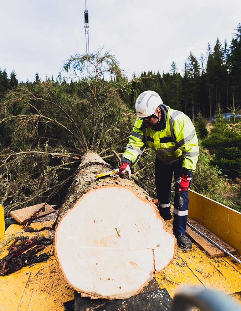 Klicken Sie sich durch die Bilder! © Arvid Auner Klicken Sie sich durch die Bilder!