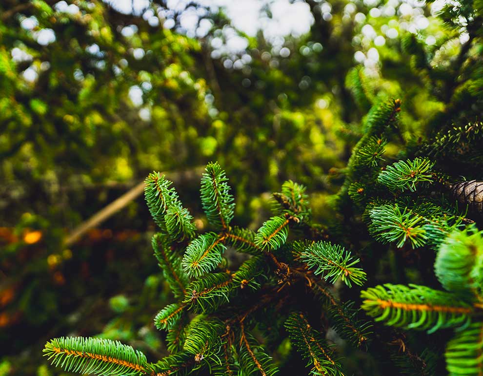 Klicken Sie sich durch die Bilder! © Arvid Auner Klicken Sie sich durch die Bilder!