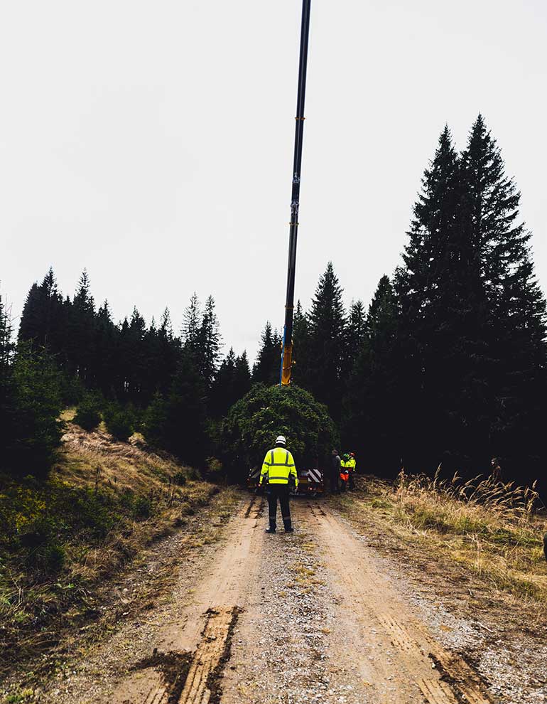Klicken Sie sich durch die Bilder! © Arvid Auner Klicken Sie sich durch die Bilder!