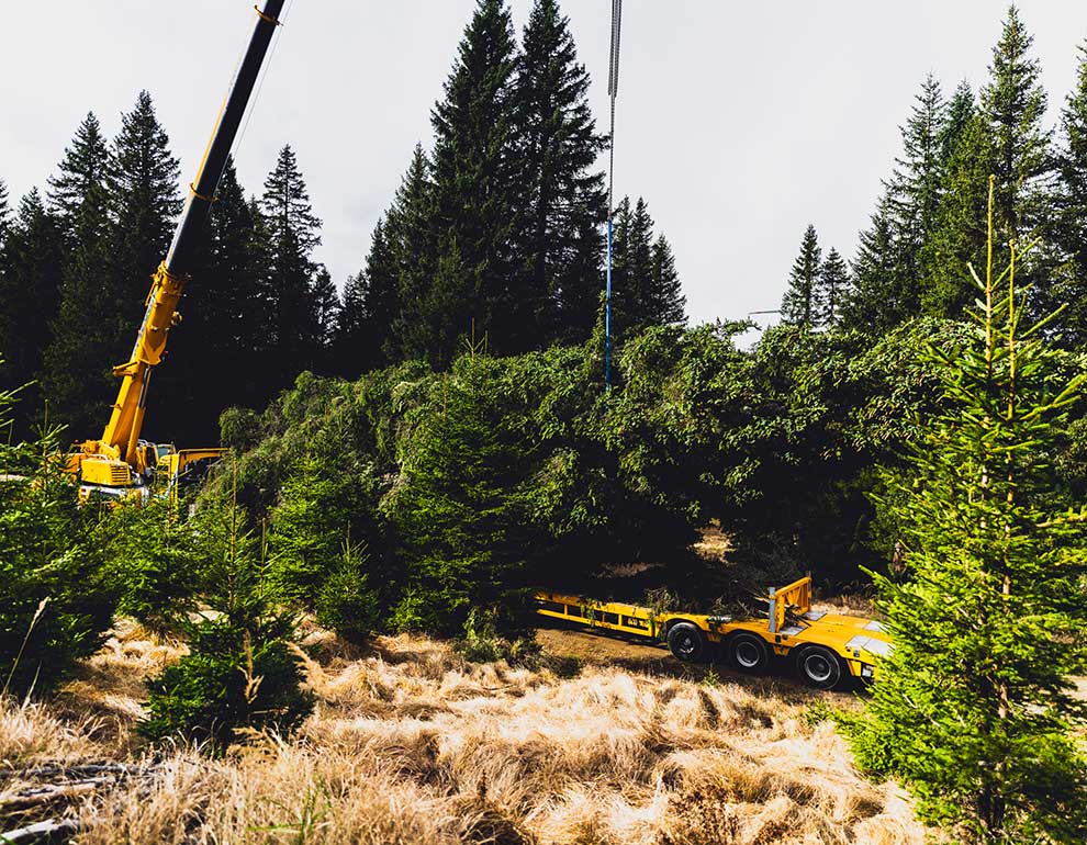 Klicken Sie sich durch die Bilder! © Arvid Auner Klicken Sie sich durch die Bilder!