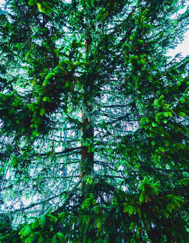 Klicken Sie sich durch die Bilder! © Arvid Auner Klicken Sie sich durch die Bilder!