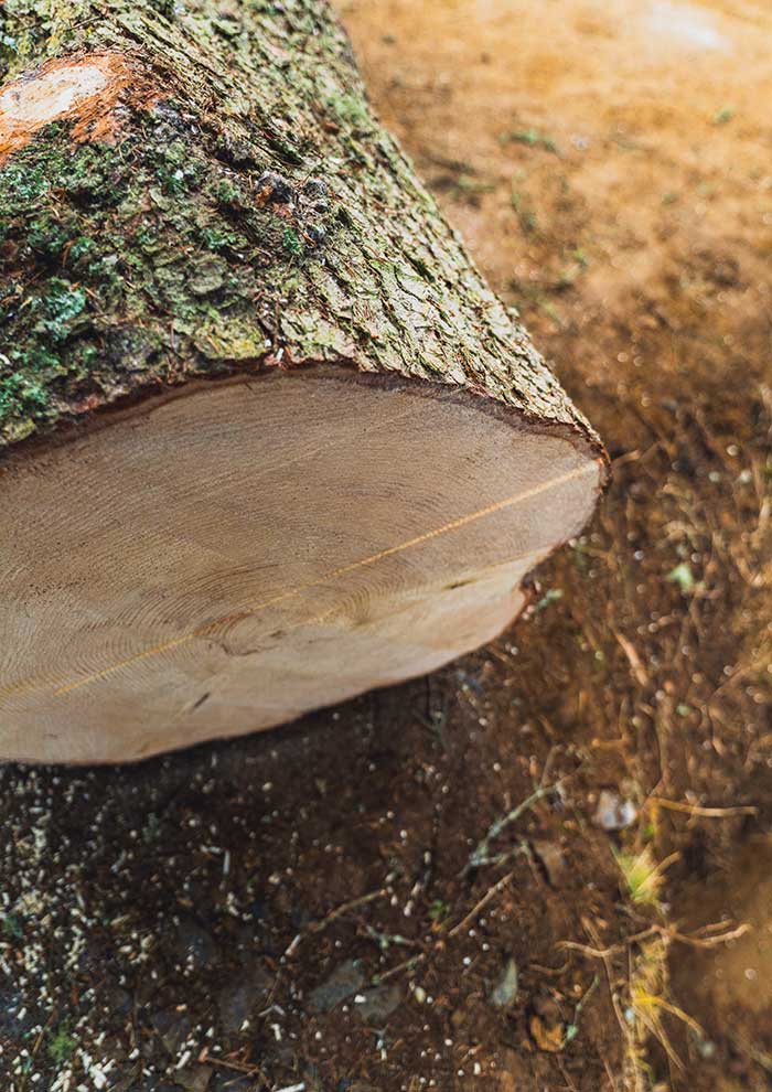 Klicken Sie sich durch die Bilder! © Arvid Auner Klicken Sie sich durch die Bilder!