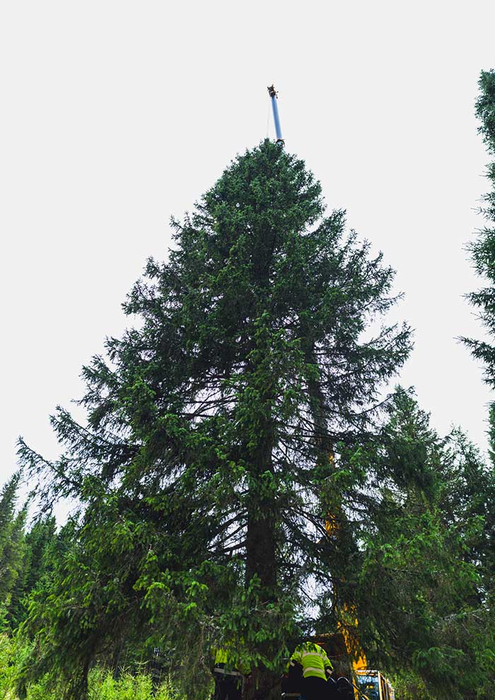 Klicken Sie sich durch die Bilder! © Arvid Auner Klicken Sie sich durch die Bilder!