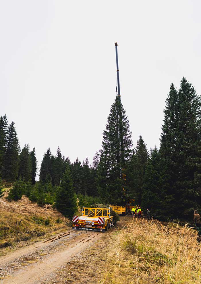 Klicken Sie sich durch die Bilder! © Arvid Auner Klicken Sie sich durch die Bilder!
