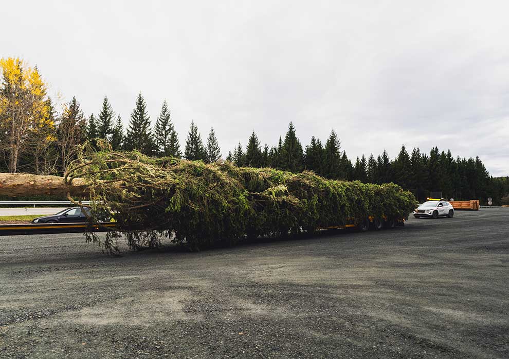 Klicken Sie sich durch die Bilder! © Arvid Auner Klicken Sie sich durch die Bilder!