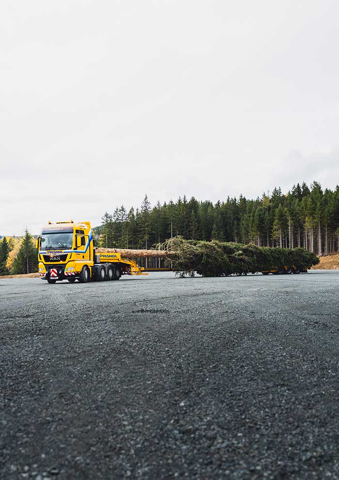 Klicken Sie sich durch die Bilder! © Arvid Auner Klicken Sie sich durch die Bilder!