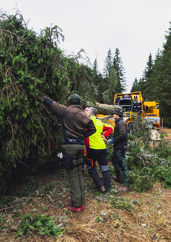 Klicken Sie sich durch die Bilder! © Arvid Auner Klicken Sie sich durch die Bilder!