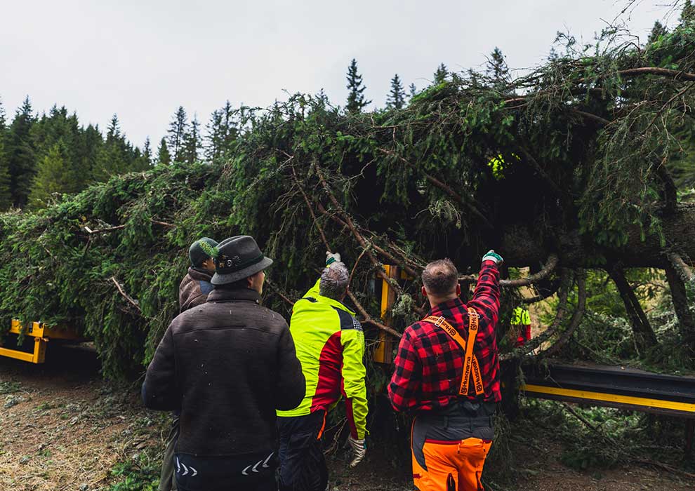 Klicken Sie sich durch die Bilder! © Arvid Auner Klicken Sie sich durch die Bilder!