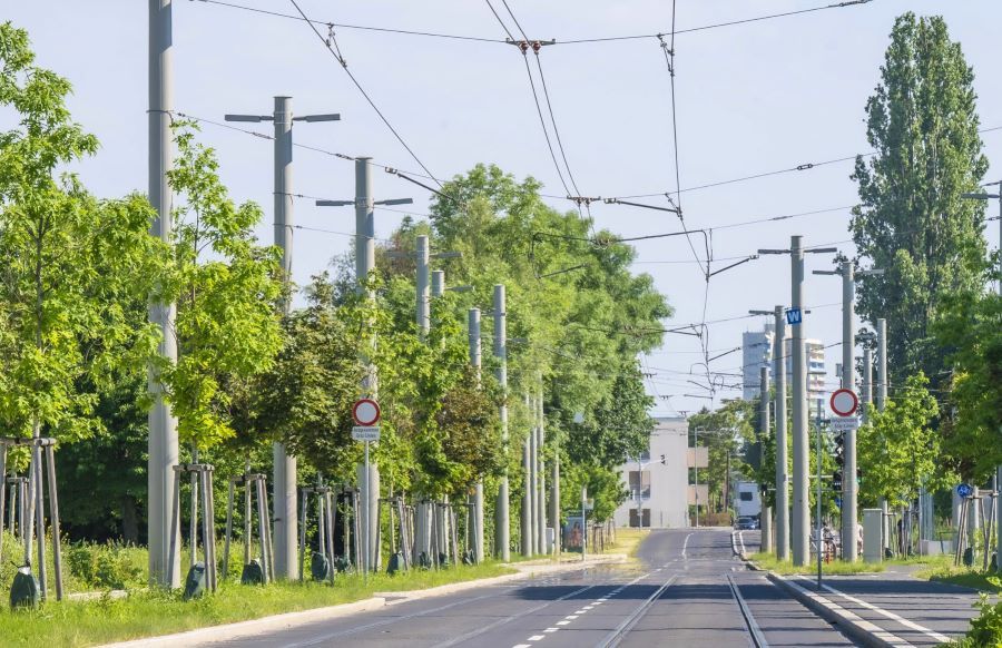 Domenico dell’Allio Allee Reininghaus