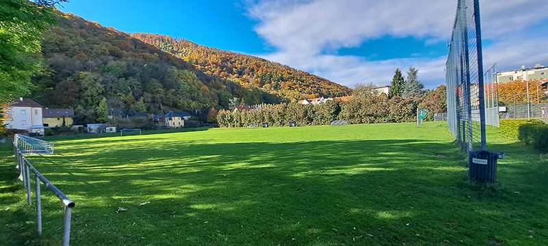 Bezirkssportplatz Dr. Karl-Lueger-Straße (Bulme Platz) Ballsportfeld
