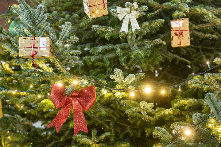 Weihnachtsbaum am Griesplatz