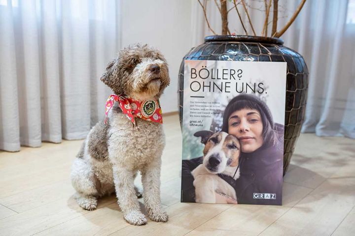 Ein Hund gemeinsam mit einem Plakat gegen Böller.