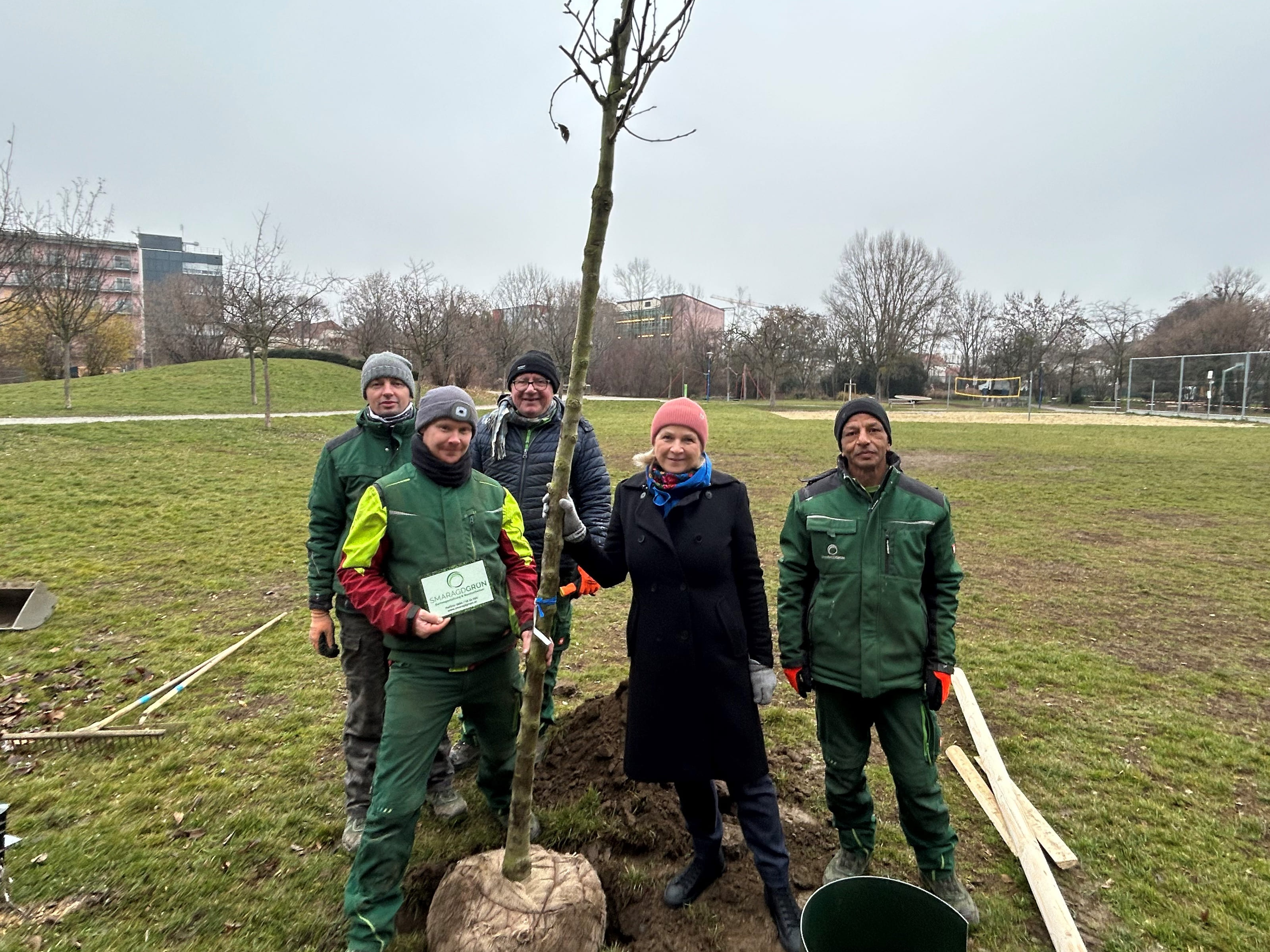 836 New Trees to Make Graz a Greener, Cooler City