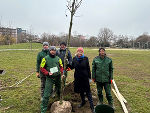 Baumpflanzung im Oeverseepark