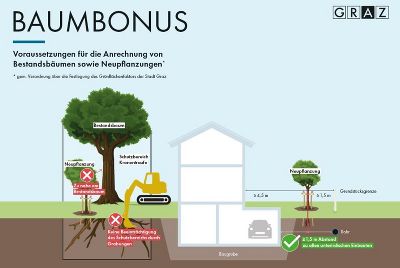 Grafik Baumbonus