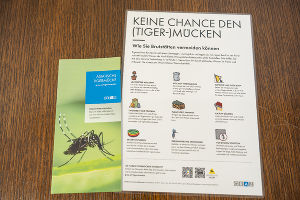 Sterile Tigermücken-Männchen (SIT) Methode bringt konkrete Verbesserungen