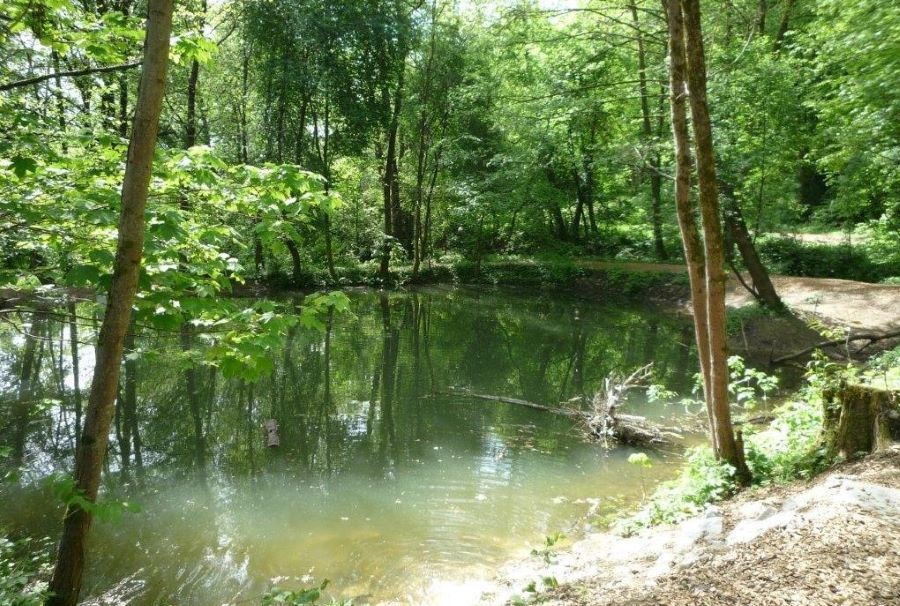 Bründlteich © Stadt Graz/Grünraum&Gewässer Bründlteich
