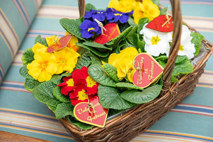 Blumengrüße zum Valentinstag
