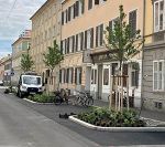 Baumpflanzung in der Attemsgasse