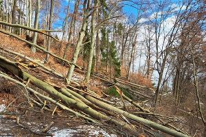 Sperre des Buchkogels: Betreten verboten – Lebensgefahr
