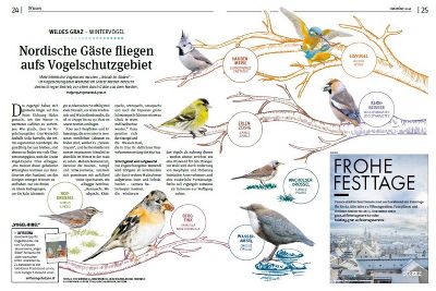 Preisgekrönter Artikel von Wolfgang Maget