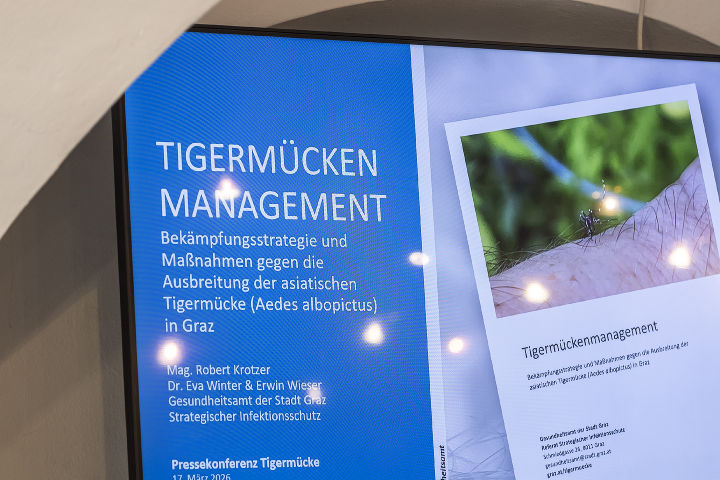 PK_Tigermuecke